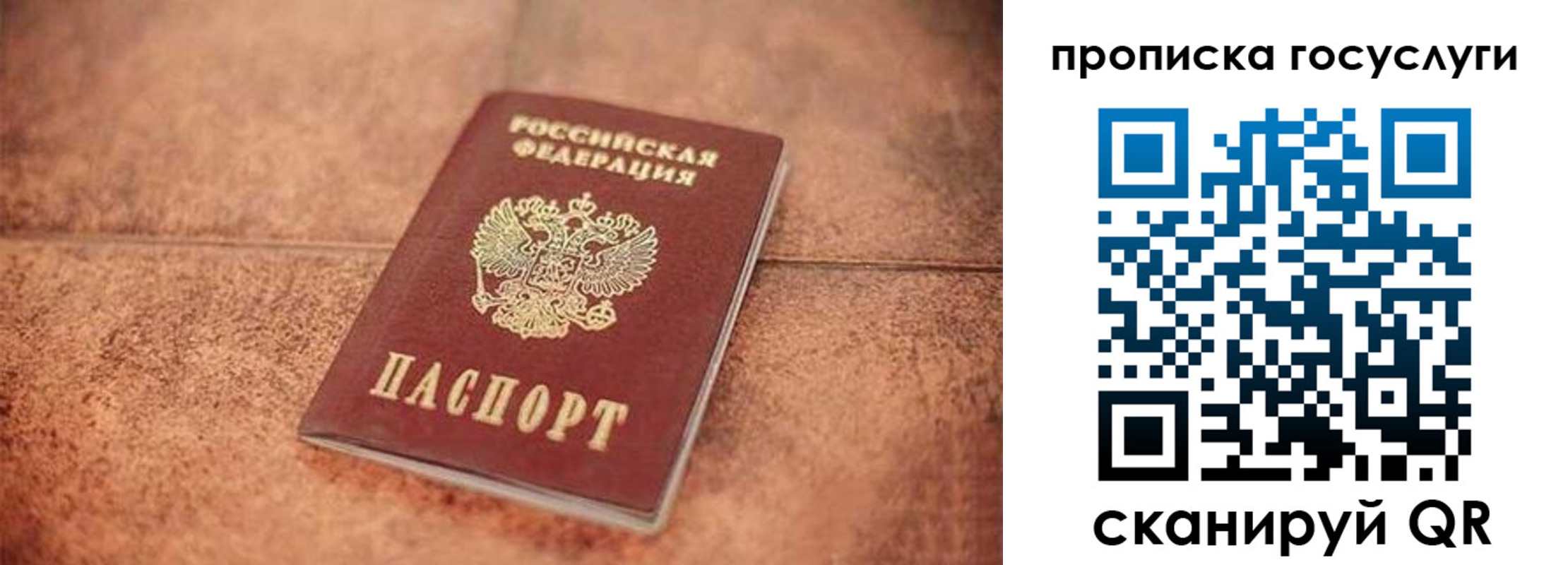 прописка законно в Светогорске
